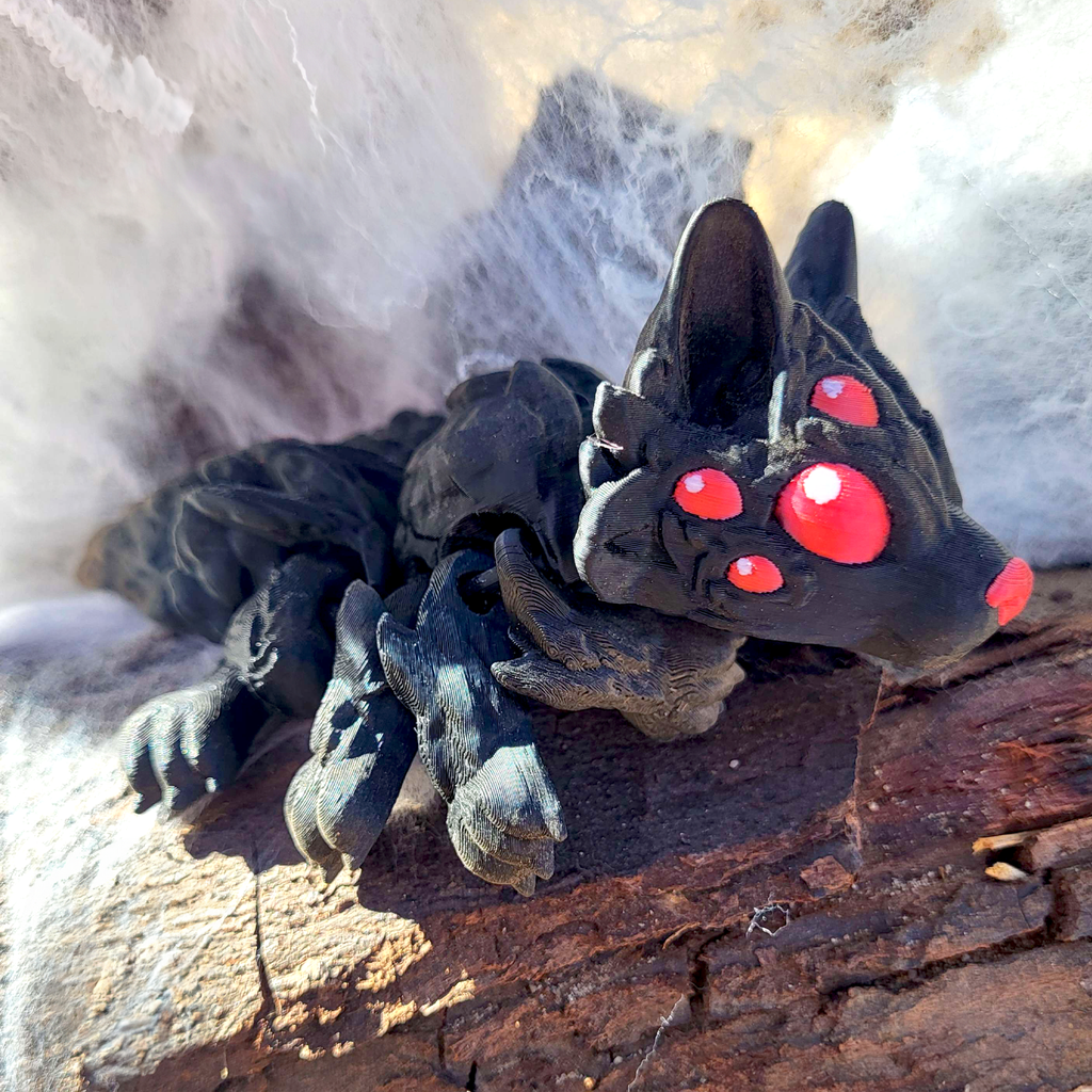 Ulveedderkoppen Lyca